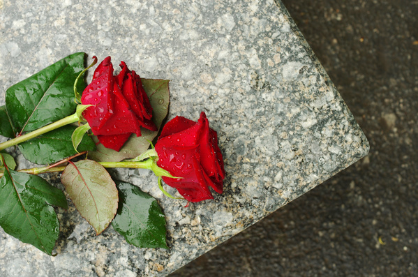 rose on tombstone